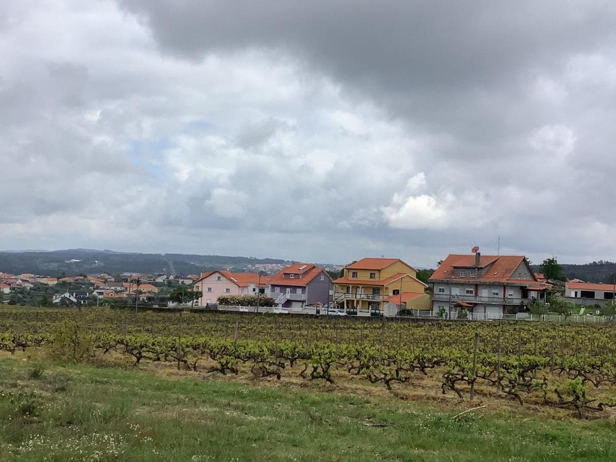 הוילה אגיאר דה ביירה Casa De Ferias Santos מראה חיצוני תמונה